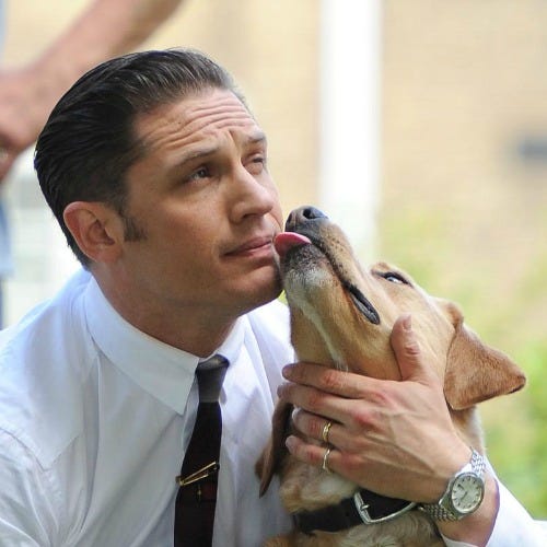 Dress shirt, Collar, Watch, Dog breed, Wrist, Tie, Carnivore, Dog, Bird, Canidae, 