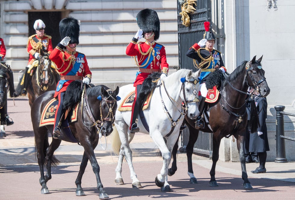 Horse, People, Bridle, Uniform, Rein, Horse tack, Grenadier, Headgear, Recreation, Stallion, 