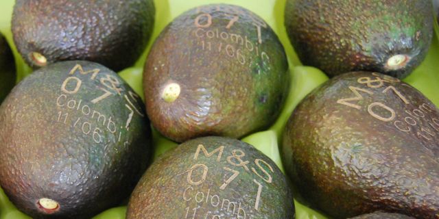 Green, Ingredient, Whole food, Natural foods, Produce, Avocado, Macro photography, Local food, Collection, 