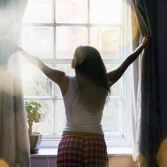 Light, Window, Sunlight, Arm, Hand, Interior design, Leg, Window treatment, Tree, Textile, 