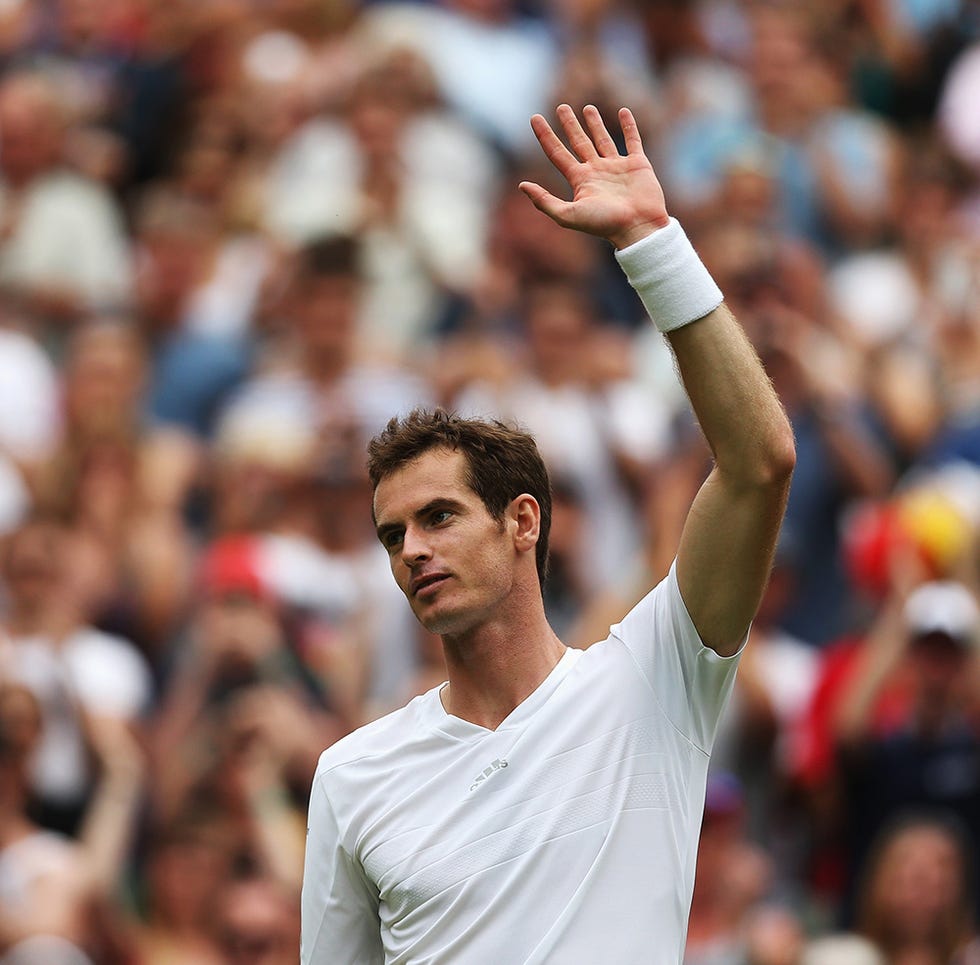 andy murray