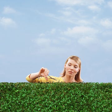 Hair, Human, Grass, Hairstyle, Happy, Mammal, People in nature, Summer, Sunlight, Beauty, Hair, Human, Grass, Hairstyle, Happy, Mammal, People in nature, Summer, Sunlight, Beauty,
