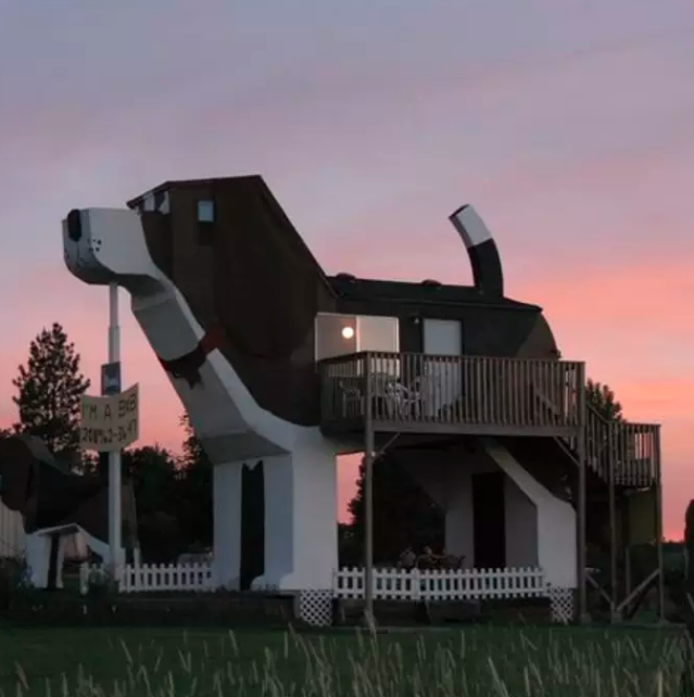 Giant dog airbnb discount