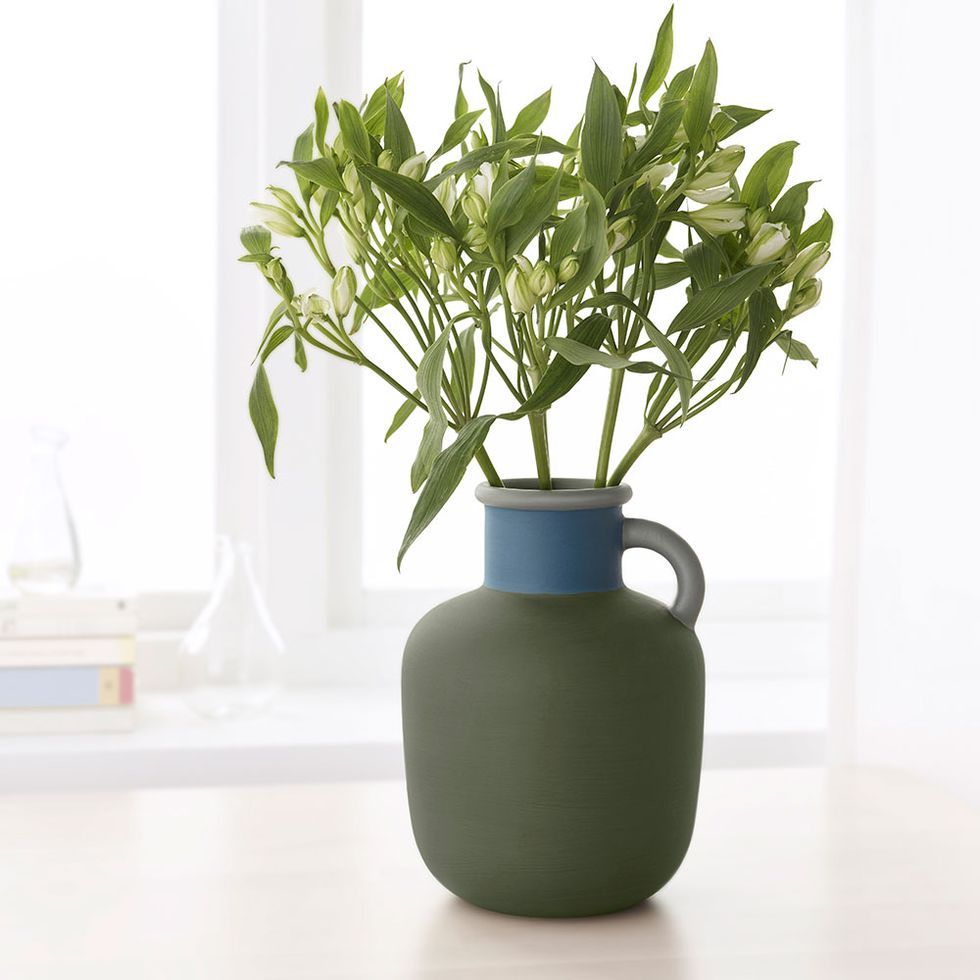 Flowerpot, Houseplant, Vase, Flower, Plant, Green, Leaf, Grass, Room, Artifact, 