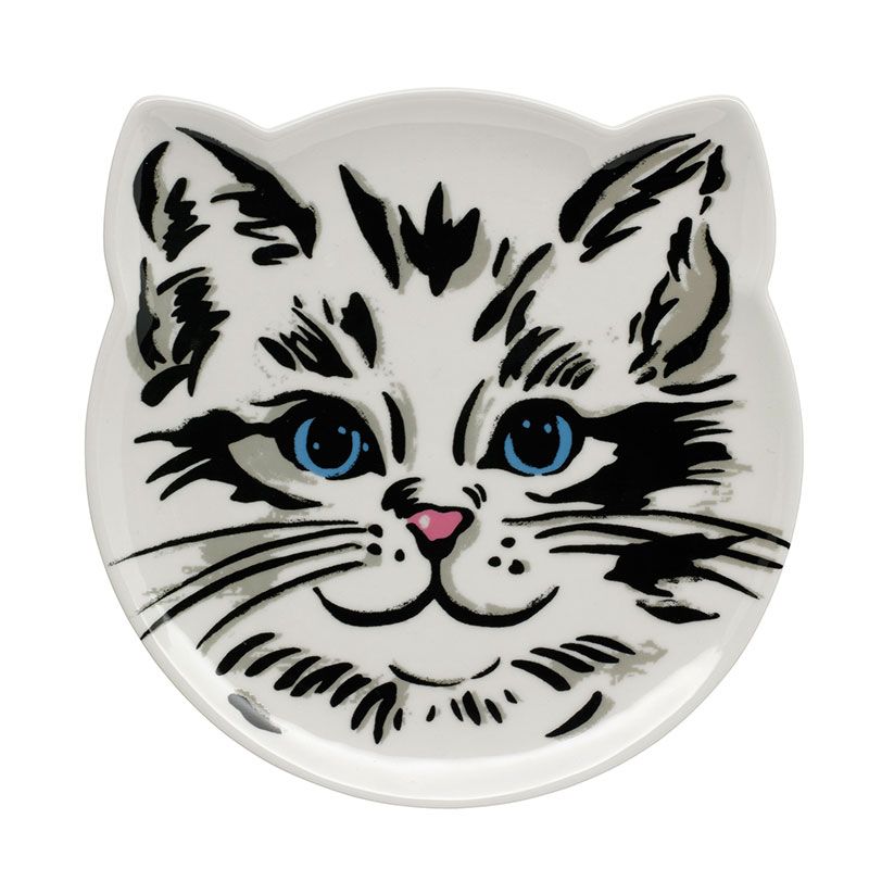 Cat, Felidae, Head, Whiskers, Small to medium-sized cats, Plate, Tableware, Toilet seat, Dishware, Kitten, 