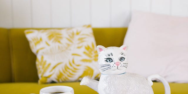 White, Yellow, Table, Tableware, Cat, Teacup, Cup, Furniture, Drinkware, Food, 