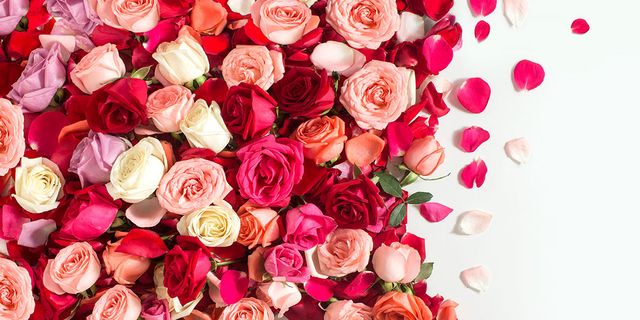 Pink, Red, Rose, Flower, Bouquet, Heart, Garden roses, Petal, Plant, Valentine's day, 