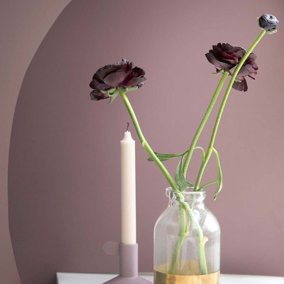 Flower, Plant, Still life photography, Flowerpot, Vase, Room, Plant stem, Cut flowers, Ikebana, Houseplant, 