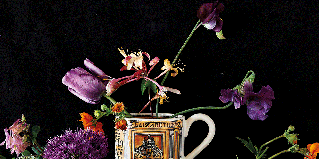 Porcelain, Still life photography, Still life, Jug, Flower, Ceramic, Plant, Flowerpot, Tableware, Houseplant, 