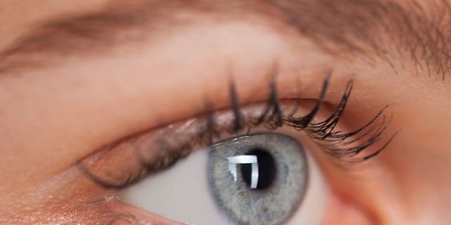 Face, Eyelash, Eyebrow, Eye, Skin, Close-up, Nose, Iris, Organ, Cheek, 