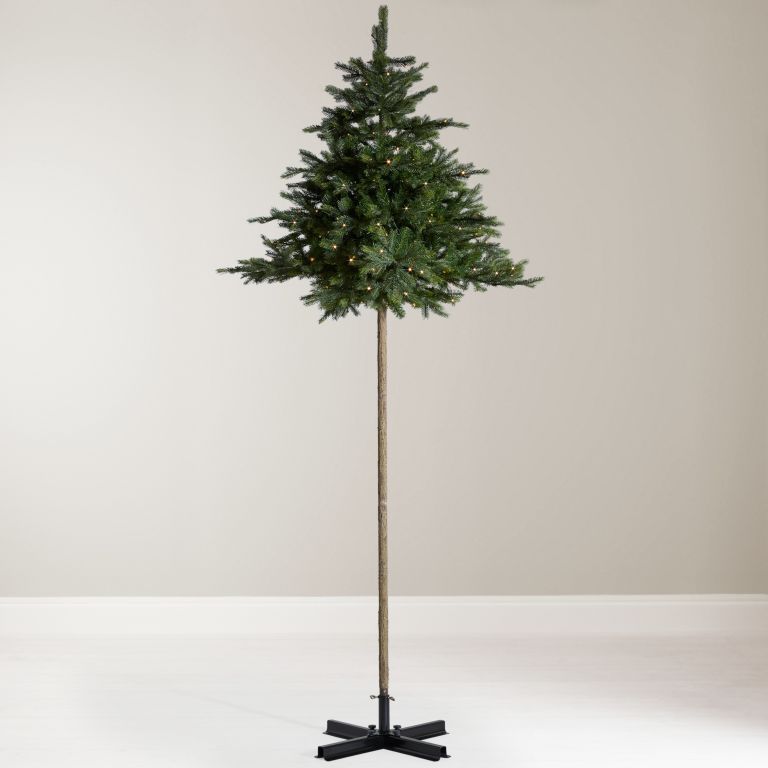 Tree, White pine, Plant, Christmas tree, Woody plant, oregon pine, Pine, Colorado spruce, Leaf, American larch, 