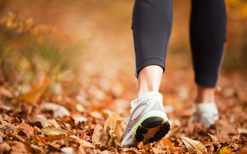 People in nature, Leaf, Footwear, Autumn, Human leg, Shoe, Walking, Leg, Running, Photography, 