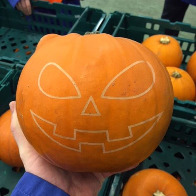 Pumpkin, Calabaza, Winter squash, Jack-o'-lantern, Cucurbita, Orange, Fruit, Carving, Vegetable, Food, 