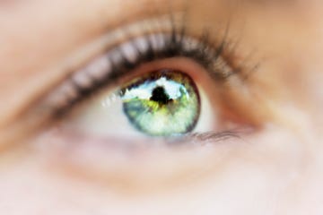 Eye, Eyebrow, Green, Iris, Eyelash, Face, Close-up, Organ, Skin, Beauty, 