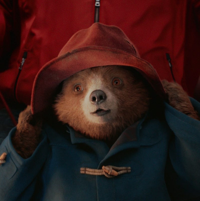 paddington bear 3