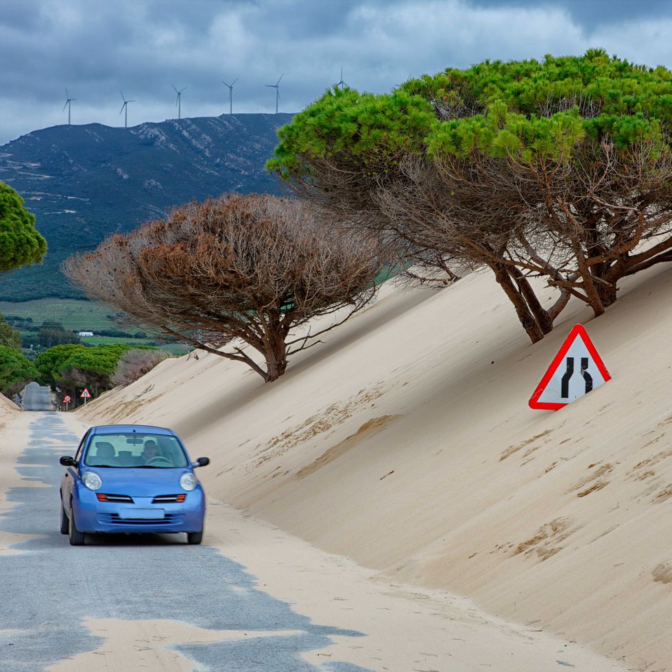 Vehicle, Car, Road, Tree, Mode of transport, Sand, Woody plant, Landscape, Infrastructure, Geology, 