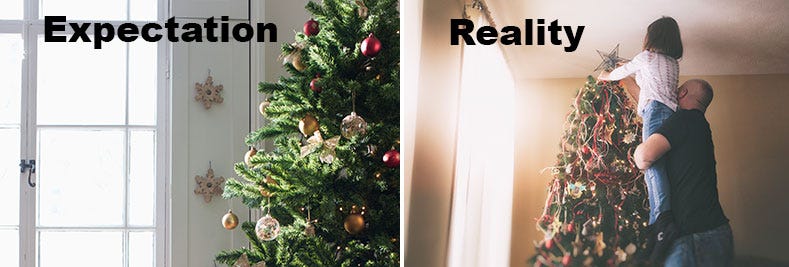 Christmas decoration, Christmas tree, Christmas, Christmas ornament, oregon pine, Tree, Home, Colorado spruce, Christmas eve, Evergreen, 