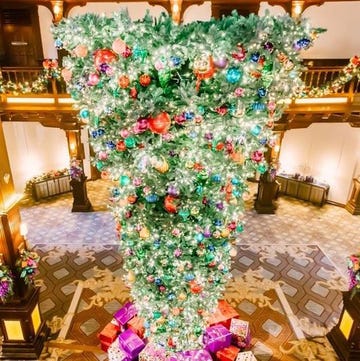 Upside down Christmas trees