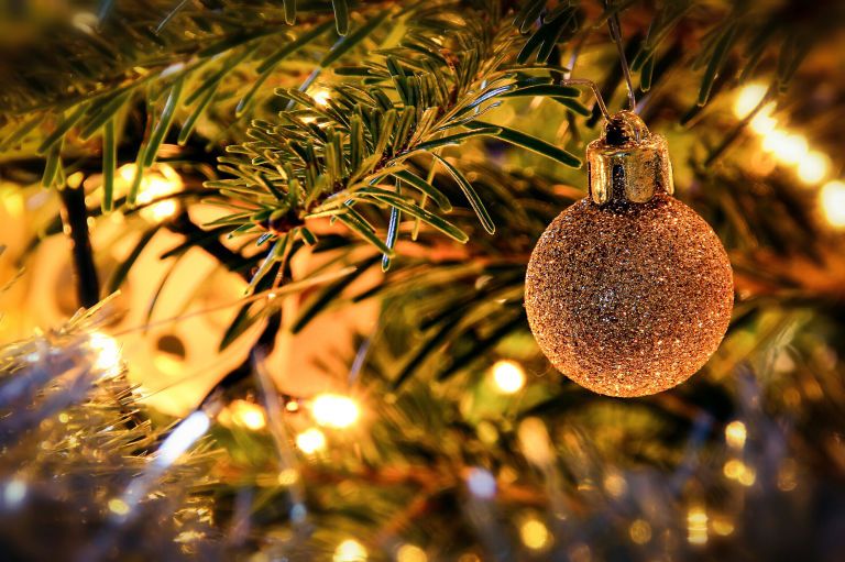 Christmas ornament, Tree, Christmas, Christmas decoration, Christmas tree, Light, Fir, Spruce, Christmas lights, Branch, 