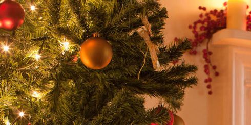 Christmas tree, Christmas ornament, Tree, Christmas, Christmas decoration, Spruce, Christmas eve, Fir, Woody plant, Ornament, 