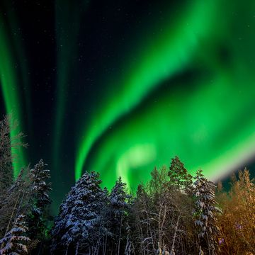 Aurora, Nature, Sky, Green, Natural landscape, Tree, Night, Winter, Atmosphere, Landscape, 
