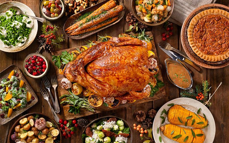 Dish, Food, Cuisine, Meal, Thanksgiving dinner, Ingredient, Hendl, Garnish, Roast goose, Turkey meat, 