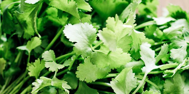 Leaf vegetable, Leaf, Flower, Coriander, Plant, Food, Vegetable, Herb, Chinese celery, Parsley, 