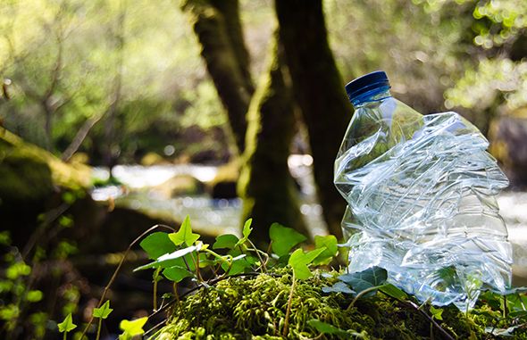 Water, Green, Bottle, Tree, Plastic bottle, Leaf, Sunlight, Water bottle, Plant, Forest, 