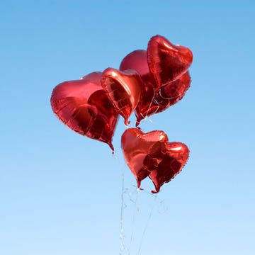 Red, Petal, Sky, Flower, Pink, Heart, Water, Plant, Organism, Valentine's day, Red, Petal, Sky, Flower, Pink, Heart, Water, Plant, Organism, Valentine's day,