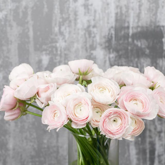 Flower, Bouquet, Pink, Cut flowers, persian buttercup, Plant, Petal, Garden roses, Rose, Flower Arranging, 