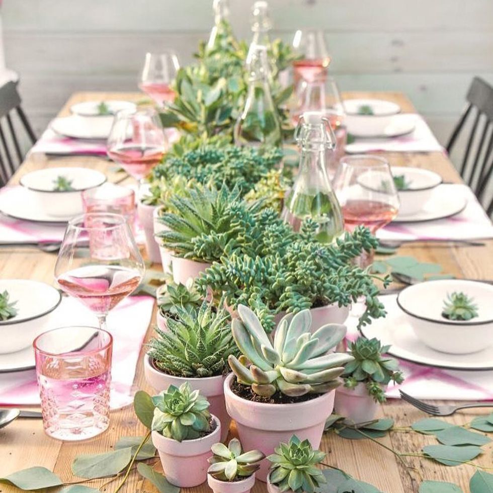 Green, Flower, Houseplant, Plant, Flowerpot, Tablecloth, Table, Brunch, Tableware, Echeveria, 