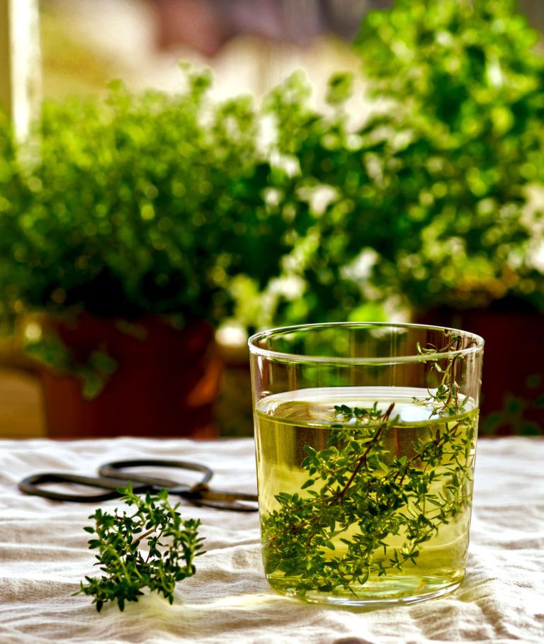 Herb, Plant, Drink, Ingredient, Herbal, Fines herbes, Food, Glass, Flower, Peppermint, 