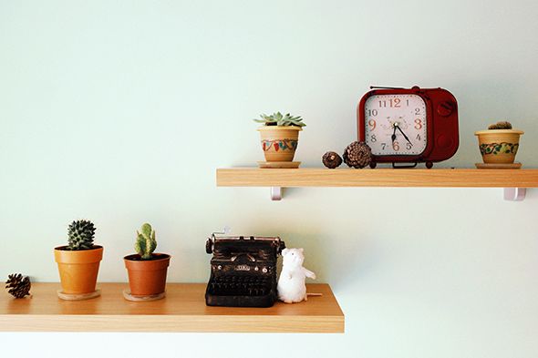 Shelf, Cactus, Shelving, Furniture, Houseplant, Room, Table, Flowerpot, Succulent plant, Interior design, 