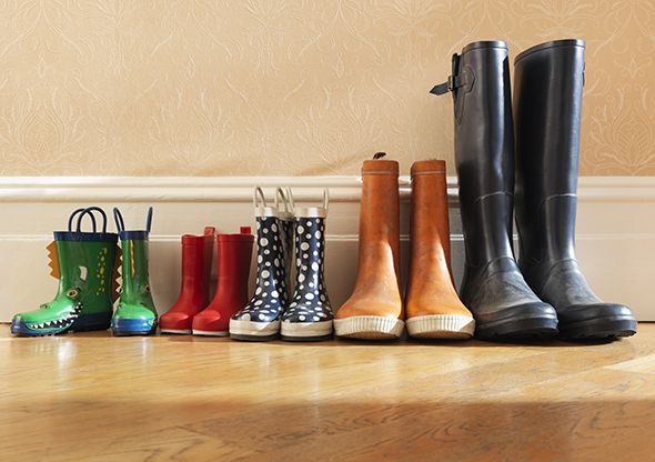 Footwear, Boot, Shoe, Hardwood, Shelf, Room, Wood, Floor, Rain boot, Furniture, 