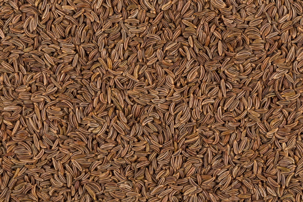 Cumin, Plant, Husk, Parsley family, Caraway, 