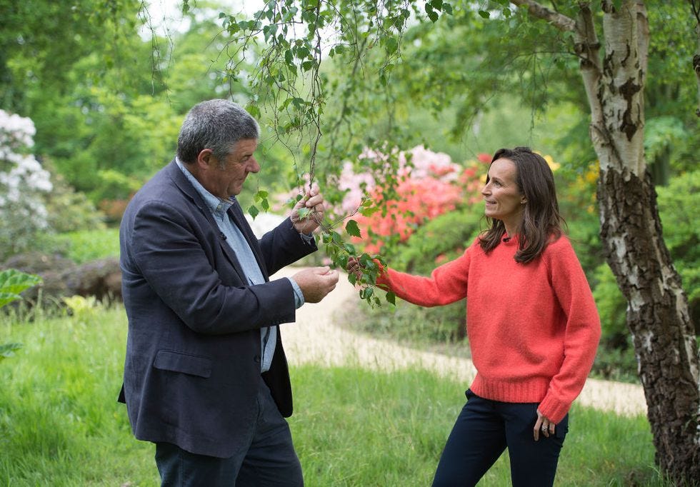 Photograph, Red, Natural environment, Botany, Tree, Event, Plant, Marriage, Garden, Adaptation, 