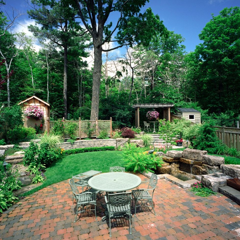 Yard, Backyard, Property, Garden, Home, House, Botany, Tree, Building, Landscaping, 