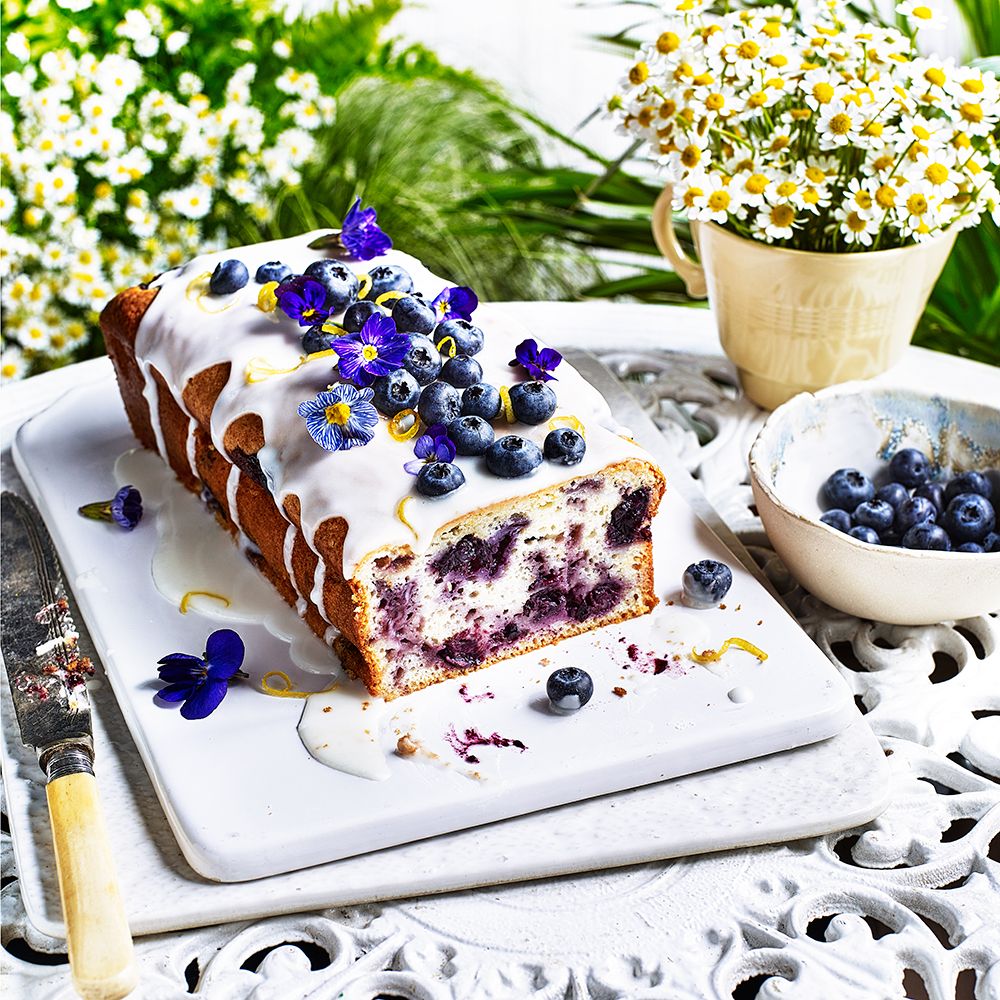 Coconut, Almond and Blueberry Cake | Foodelicacy