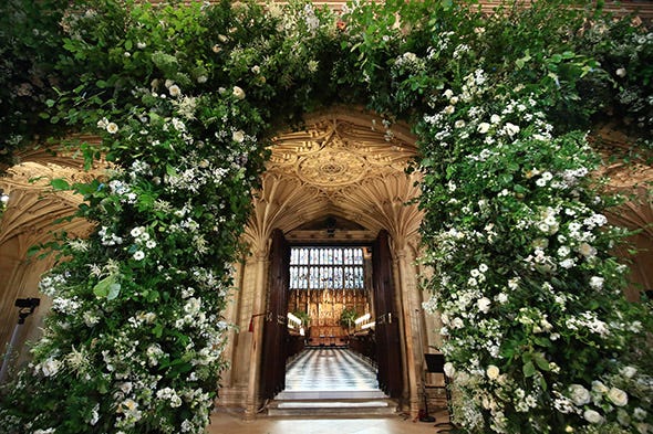 Arch, Botany, Plant, Flower, Tree, Architecture, Building, Garden, Shrub, House, 