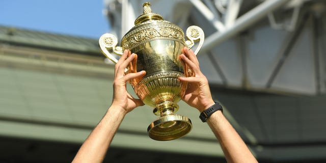 Trophy, Championship, Competition event, Player, Muscle, Competition, Award, Tennis player, Gesture, Metal, 