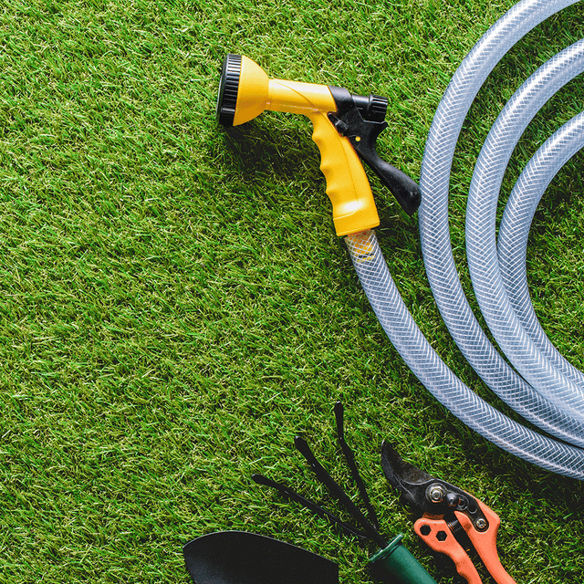 Grass, Lawn, Green, Outdoor power equipment, Lawn mower, Plant, Grass family, Artificial turf, Shrub, Tool, 