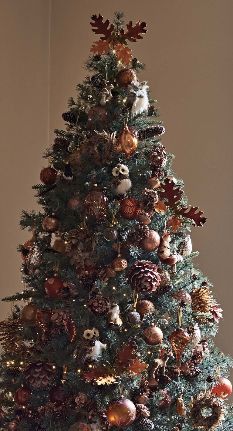Christmas tree, balsam fir, Colorado spruce, Tree, Christmas, oregon pine, Christmas ornament, Christmas decoration, Spruce, silvertip fir, 