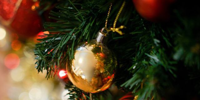 Christmas ornament, Christmas, Christmas tree, Tree, Christmas decoration, Spruce, Ornament, Fir, Christmas eve, Branch, 