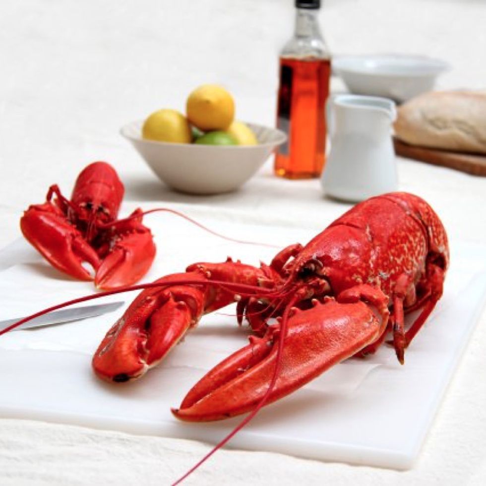 American lobster, Homarus, Lobster, Food, Crayfish, Seafood, Decapoda, Spiny lobster, Crustacean, Dish, 