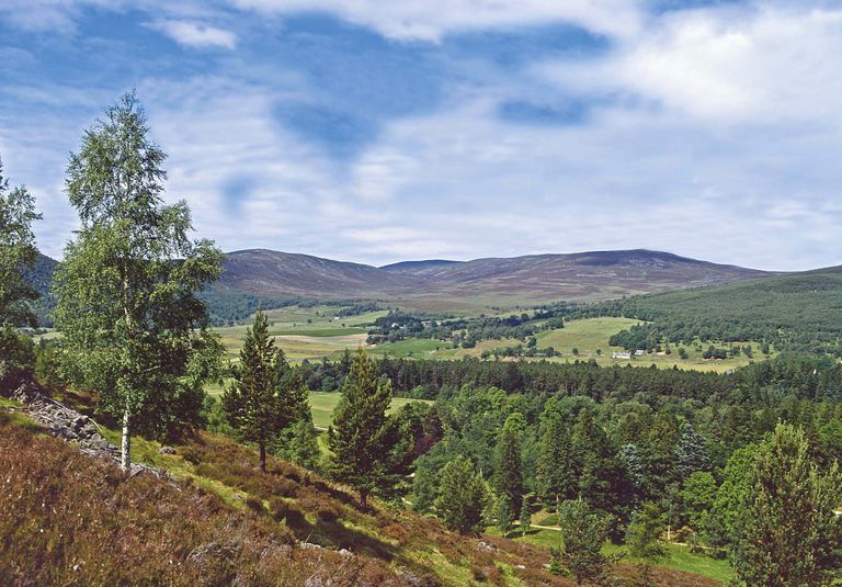 Highland, Mountainous landforms, Nature, Mountain, Wilderness, Hill, Sky, Tree, Natural environment, Vegetation, 