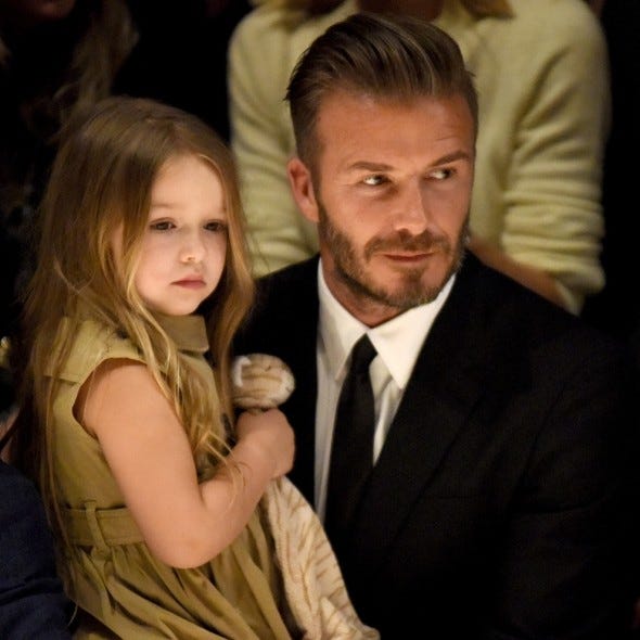 david and harper beckham