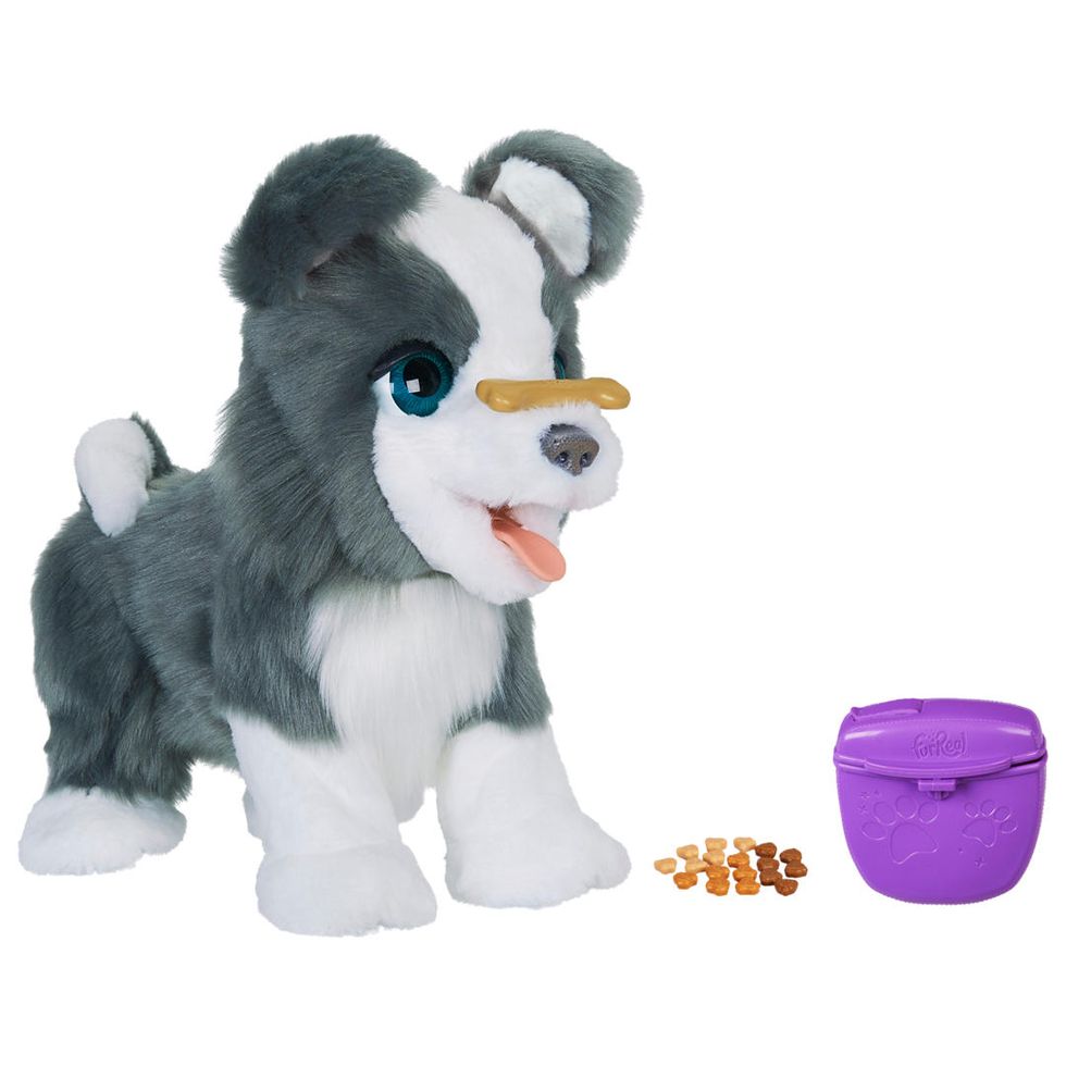 Stuffed toy, Toy, Plush, Animal figure, Dog toy, Puppy, Canidae, Dog, Textile, Fur, 