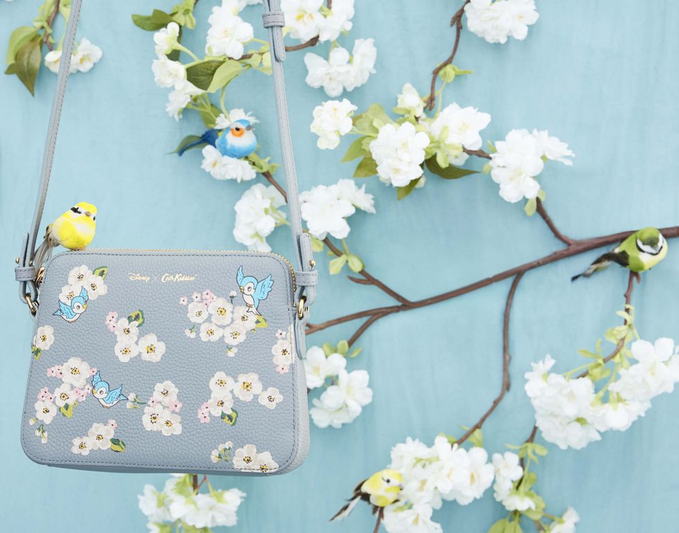 Blossom, Branch, Yellow, Spring, Flower, Wallet, Plant, Textile, Fashion accessory, Wallpaper, 