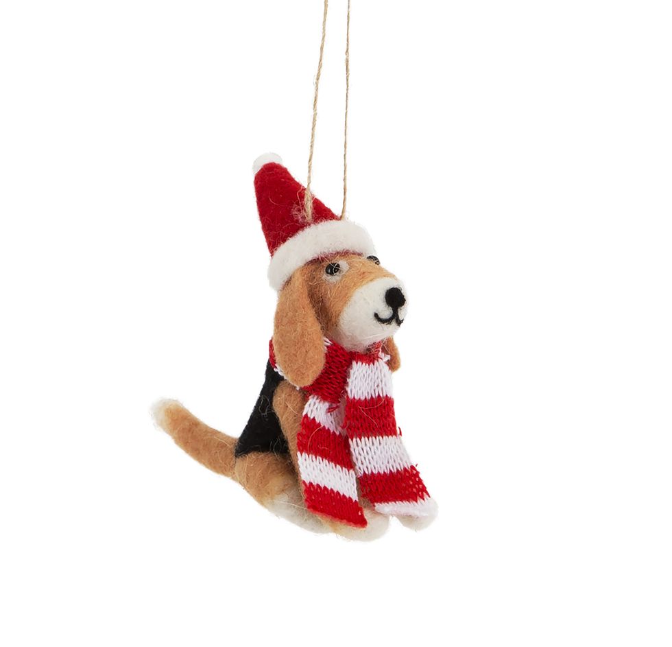 Christmas ornament, Dog, Canidae, Holiday ornament, Christmas decoration, Plush, Stuffed toy, Ornament, Carnivore, Puppy, 