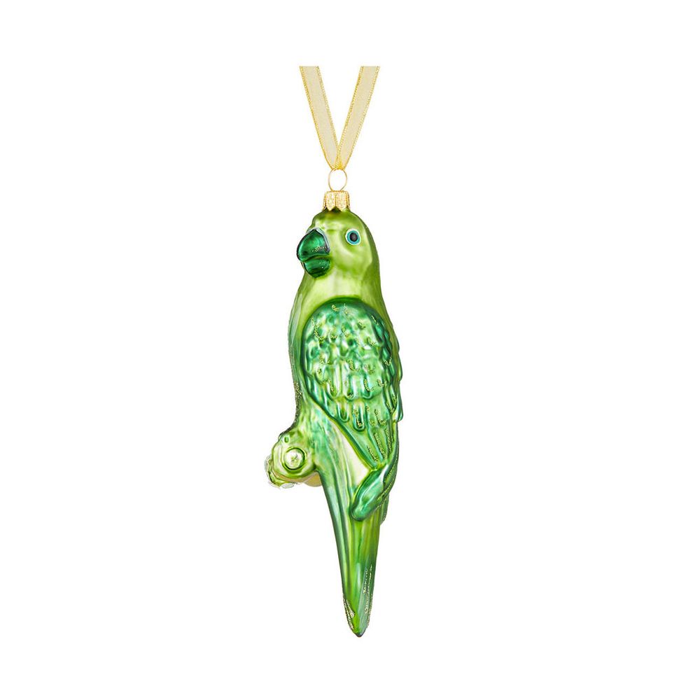 Pendant, Parrot, Jewellery, Bird, Holiday ornament, Fashion accessory, Beak, Parakeet, 